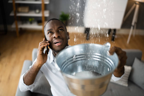 Best Water damage contractors near me  in Leachville, AR