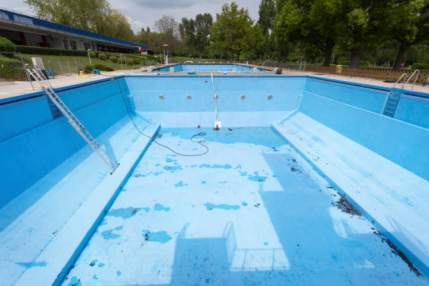 Best Mold removal after water damage  in Leachville, AR