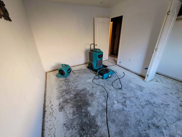 Fire Damage Restoration in Leachville, AR