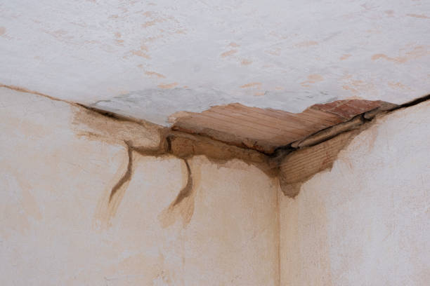Best Water damage restoration cost  in Leachville, AR