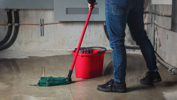 Best 24-hour water damage restoration  in Leachville, AR