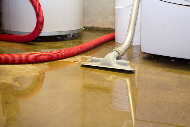 Reliable Leachville, AR Water damage restoration Solutions