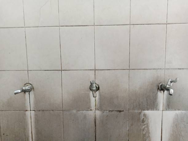 Local water damage restoration in Leachville, AR