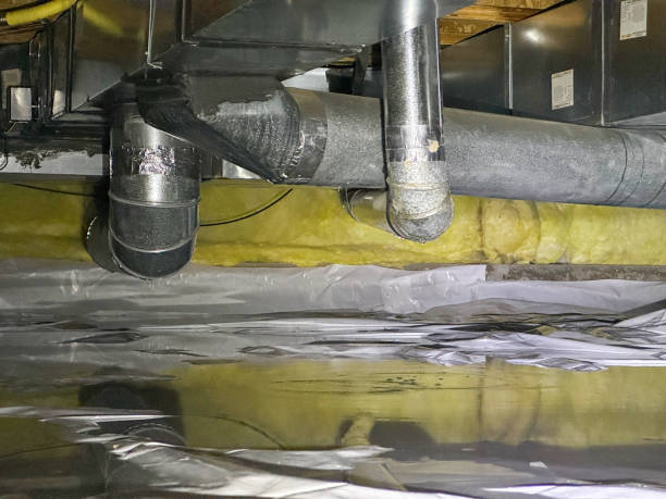 Best Flood restoration services  in Leachville, AR
