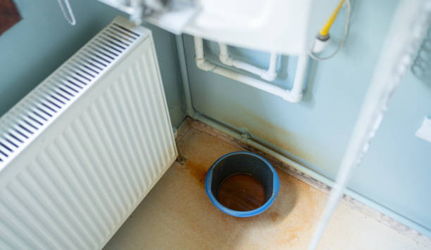 Best Professional water damage repair  in Leachville, AR