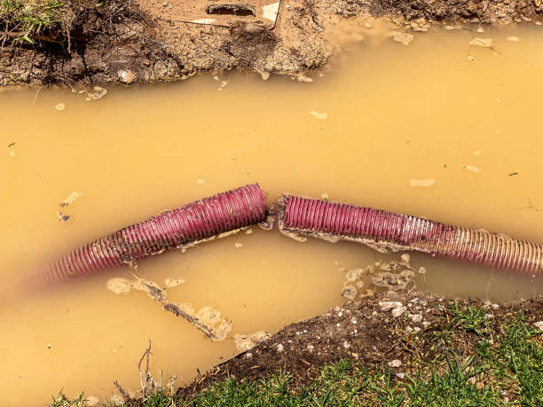 Best Water damage cleanup near me  in Leachville, AR