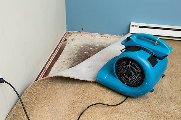 Best Commercial water damage restoration  in Leachville, AR